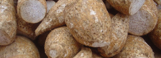 The Many Uses Of Taro