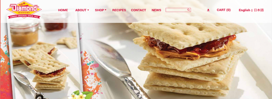 Check Out Our NEW Website & Get 30% OFF!