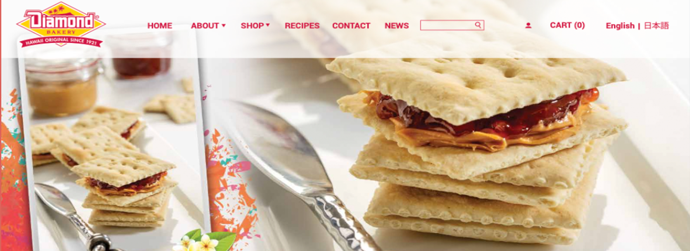 Check Out Our NEW Website & Get 30% OFF!