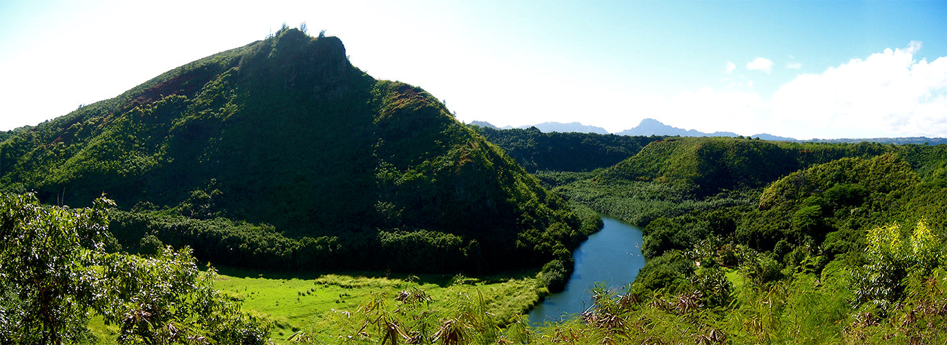 Hawaii Places to Enjoy Diamond Bakery